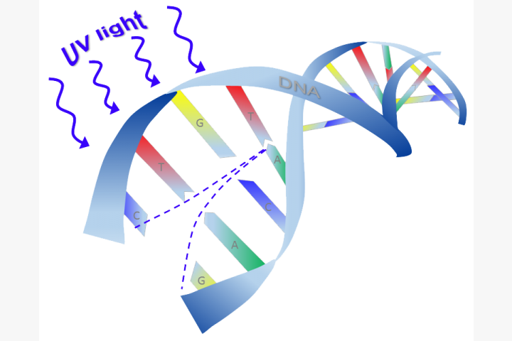 DNA 3D Image.png